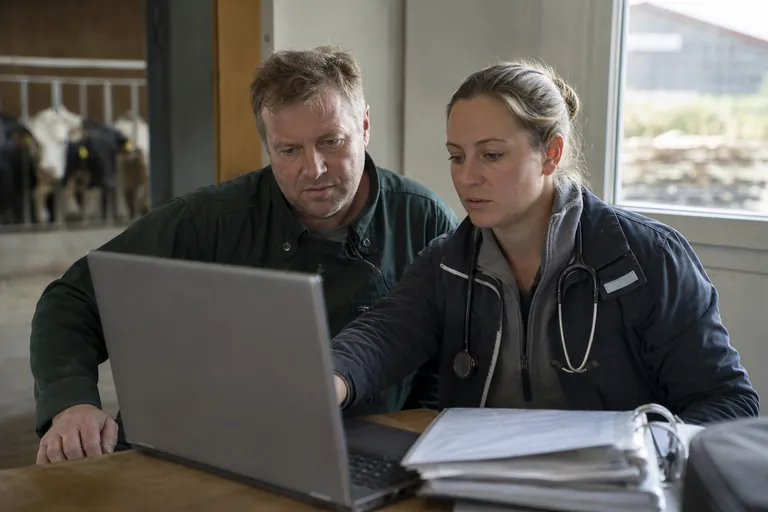Tierärztin und Rinderhalter prüfen Daten zu einer Behandlung am Laptop