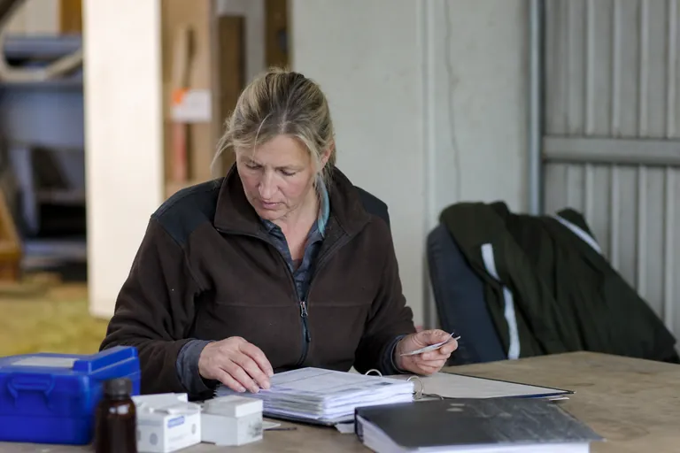 Landwirtin prüft Bestandsregister und Arzneimittelbelege im Stallbüro